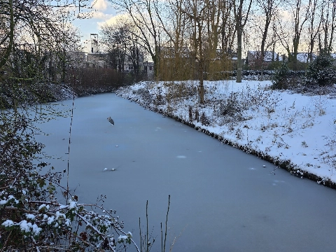 Schiedam mooi in de sneeuw (4)