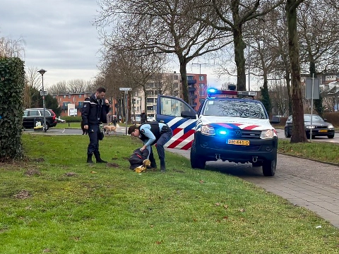 Aanhoudingen na politie-achtervolging