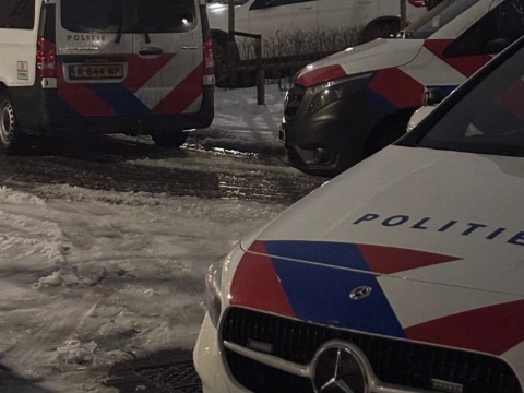 Hondenbezitters springen dier na, het water in