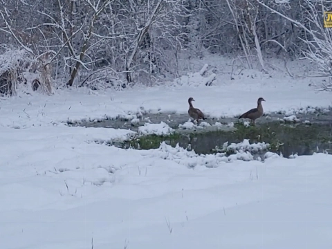 Irado strooit zestig ton per dag weg