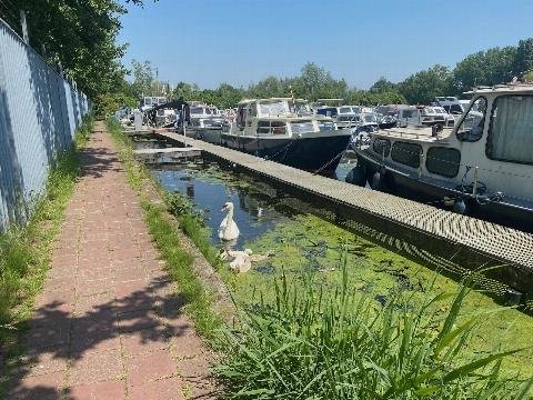 Ieder schip zijn vaste stek