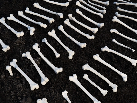 Dansende skeletten en een doolhof waar de uitgang zoek is: dit is BARBARIAN van Oscar Peters