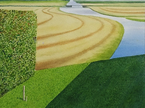 Expositie in de bieb: aquarellen en tekeningen van Fred Hemmes