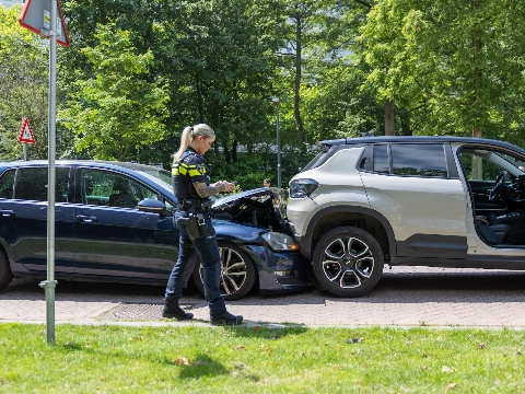 Ganzen gered, auto in de kreukels