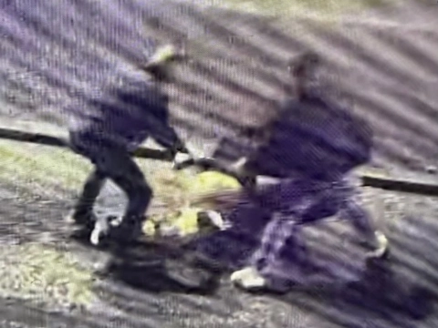 Politie bekeurt vijf vechtersbazen