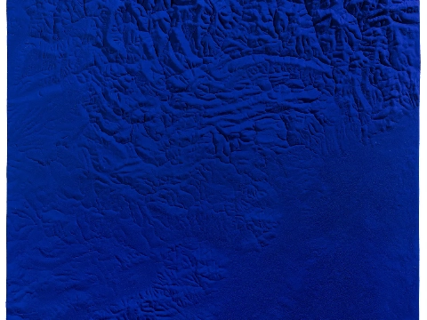 Nu open: Yves Klein en zijn kunstenaarsfamilie