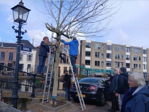 Bomenridders vieren verjaardag met bittere pil