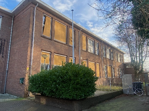 Bomenridders: Schiedamse verordening is aan herziening toe