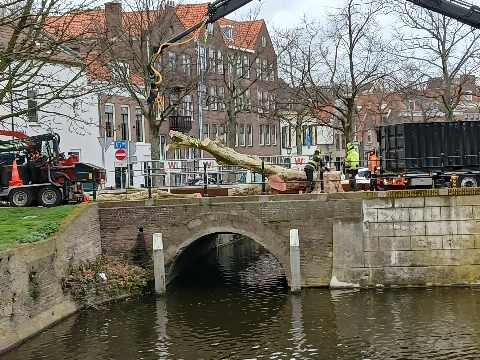 Groen Links concludeert: het Schiedamse groen is sluitpost