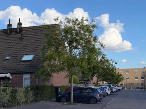 Politie controleert op foutparkeerders