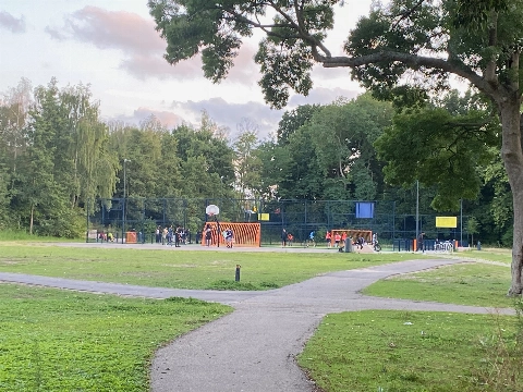 Uit de CNOR