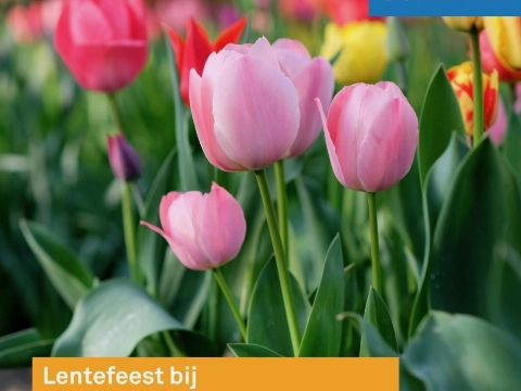 Lentefeest bij de kinderboerderij