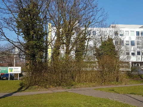 Albeda en Zadkine willen fuseren tot één mbo-instelling