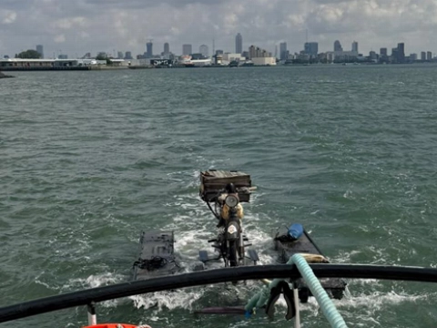 Brommer op Zee op zilte water van Nieuwe Maas
