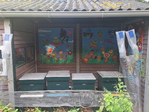 Boshoek beschermt bijenvolken met speciale val tegen Aziatische hoornaar