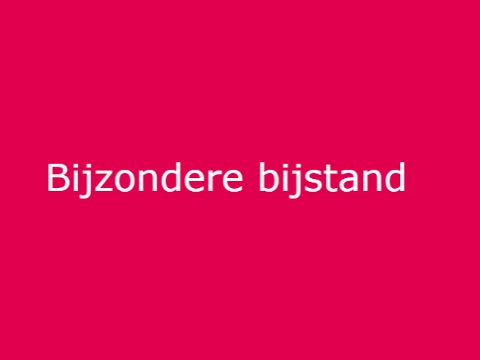 Bijzondere bijstand