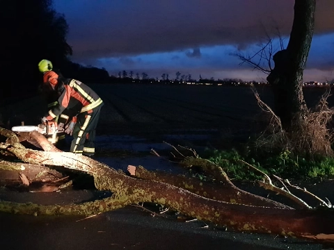 Storm Bella zorgt in heel Nederland voor problemen