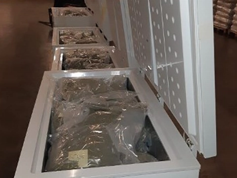 87 kilo hennep aangetroffen in vrieskisten transportbedrijf