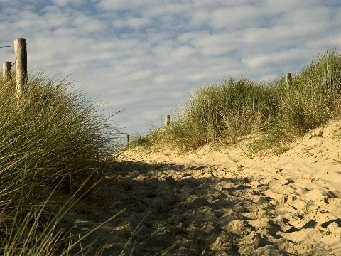 Wandelaar vindt menselijke resten in duinen Oostvoorne