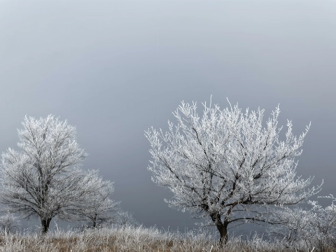 Sommige scholen en kdv's blijven dicht in verband met code rood