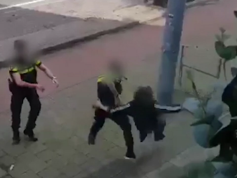 Heftige beelden van arrestatie inbreker door politie