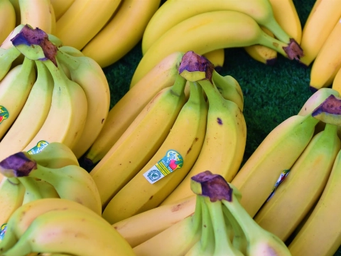 Douane vindt bijna 600 kilo cocaïne tussen bananen