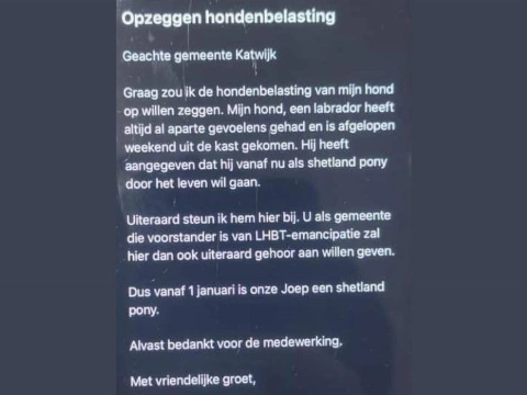 Gratis tip: maak van je hond een shetlandpony!