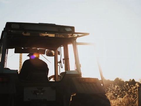 Zutphense boer bestraft voor bedreigen wandelaars en fietsers