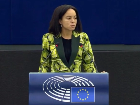 Weer een rapport over machtsmisbruik binnen D66 stil gehouden