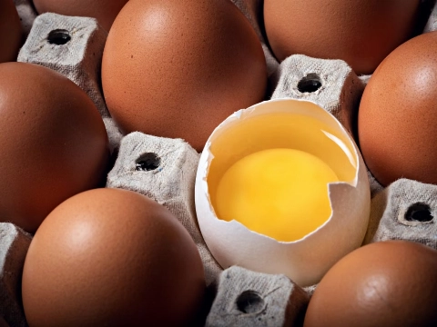 Dode en ruim 200 besmettingen door salmonella-uitbraak