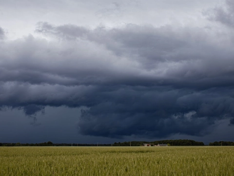 Stevige onweersbuien onderweg: kans op hagel en zware windstoten