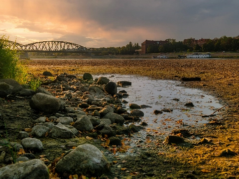 Droogte slaat toe: waterniveau in Rijn historisch laag