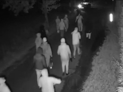 34 aanhoudingen na dodelijke schietpartij in Overasselt, agenten direct onder vuur genomen
