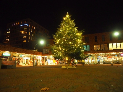 Kerstboom bij gemeentehuis Groesbeek verdwijnt na 2026, inwoners starten petitie