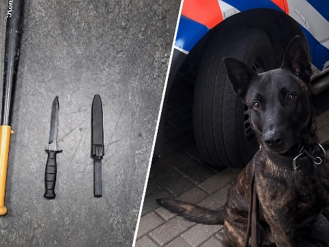 Poolse bestuurder veroorzaakt aanrijding en bedreigt andere automobilist daarna met honkbalknuppel