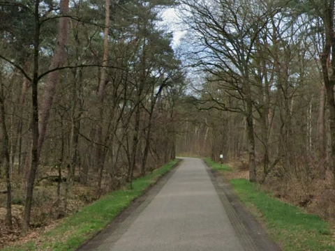 Auto botst tegen boom en slaat over de kop in Oisterwijk: twee gewonden