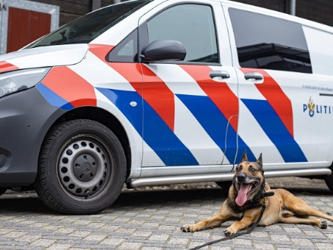 Pepperspray en politiehond nodig om agressieve man te arresteren