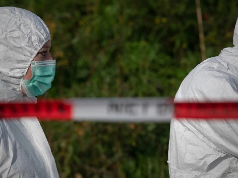 19-jarige vrouw dood in woning gevonden, man (20) aangehouden