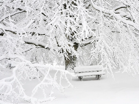 Diepvrieskou en veel sneeuw onderweg!