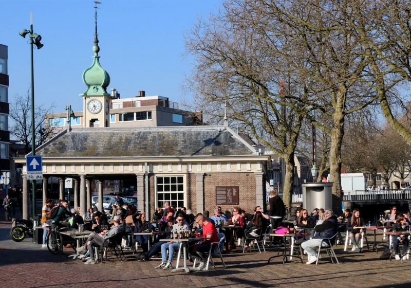 terras04.jpg