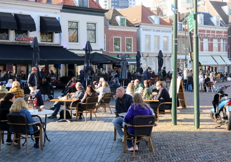 terras05.jpg
