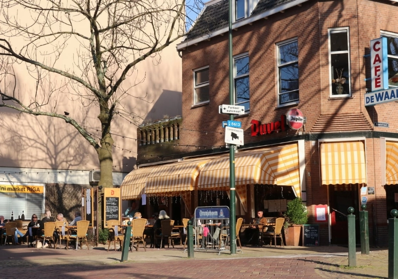 terras10.jpg