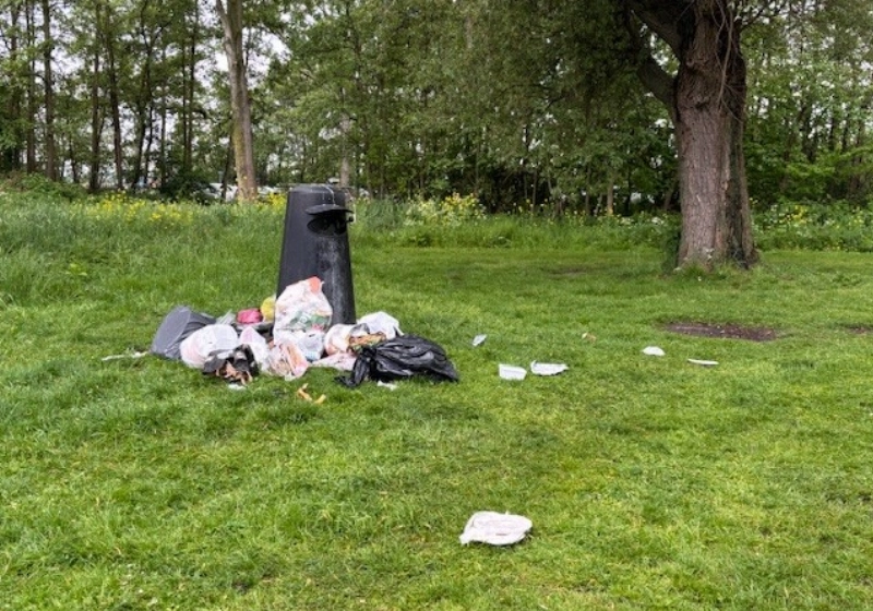 krabbe3.jpg