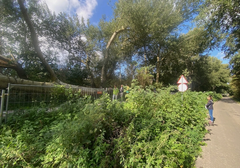 img-5936.jpeg