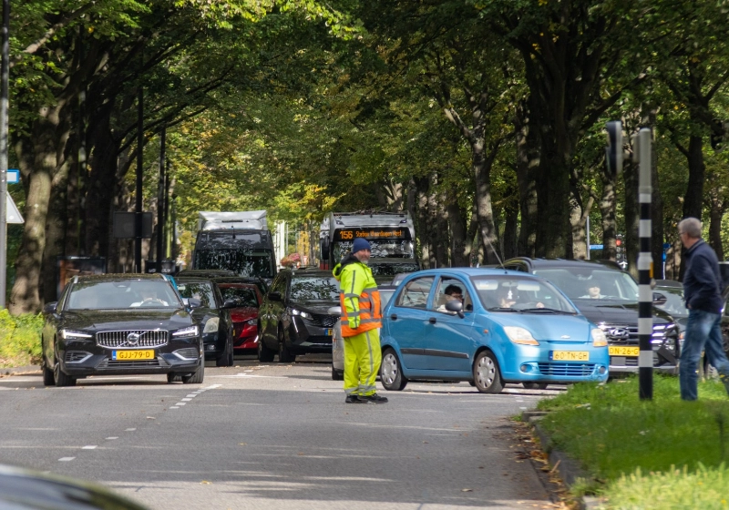 3a133caff55beed6-1-groot.jpg