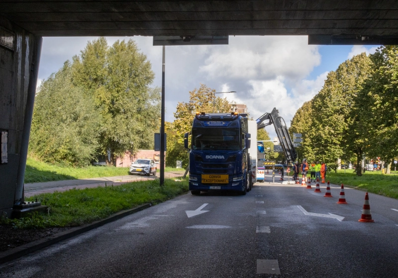 e9315db778746fdb-groot.jpg