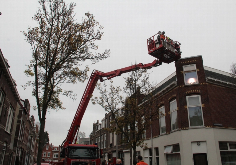 foto9.jpg