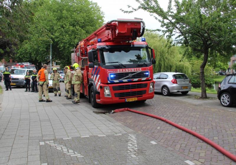 foto11.jpg