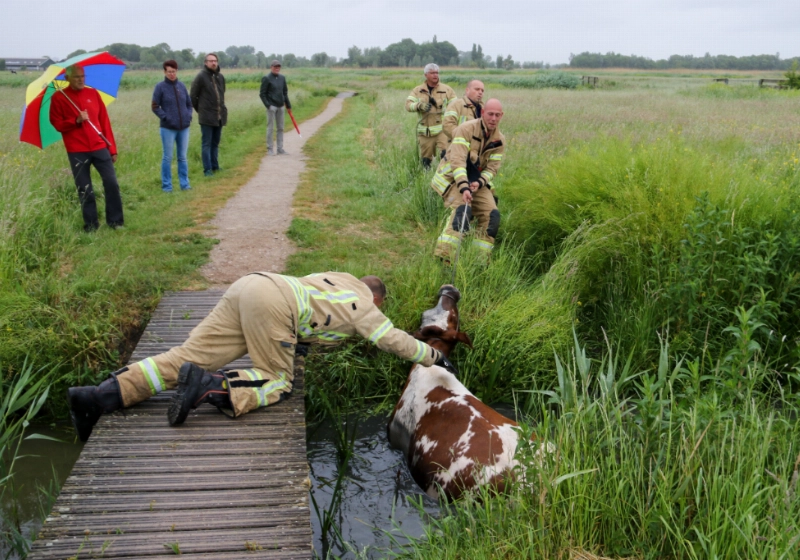 foto1.jpg