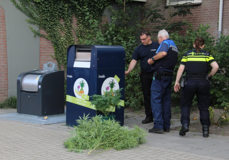 foto8.jpg